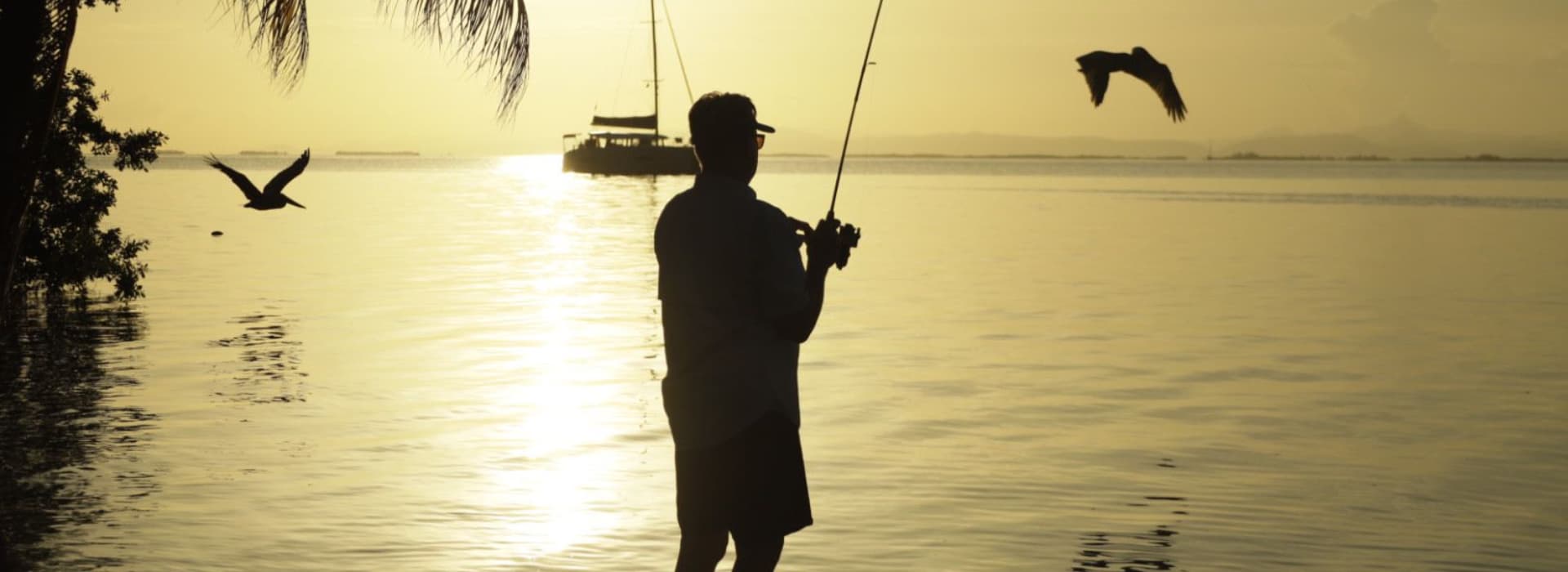 A silhouetted figure fishes at sunset, with birds flying overhead.