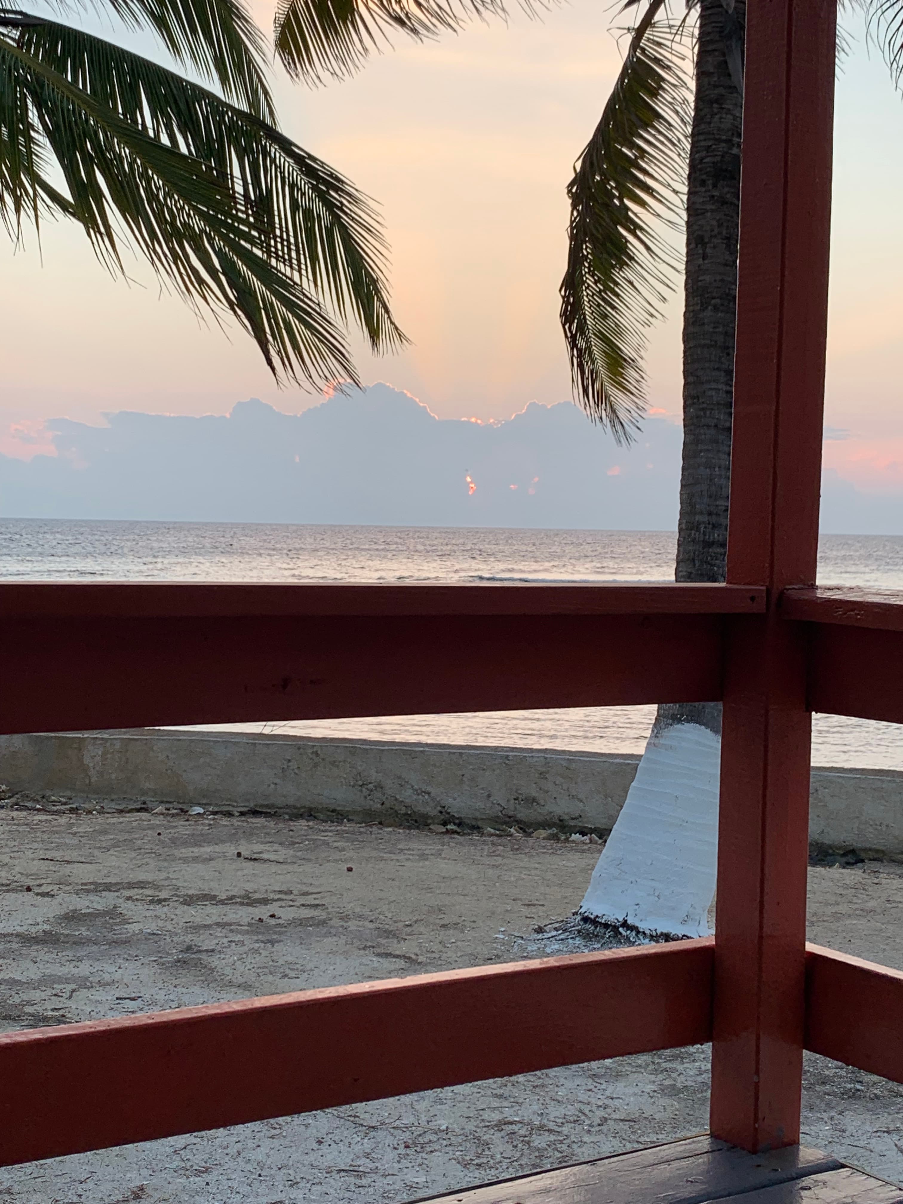 A view of the ocean at sunset framed by a wooden railing and palm trees.