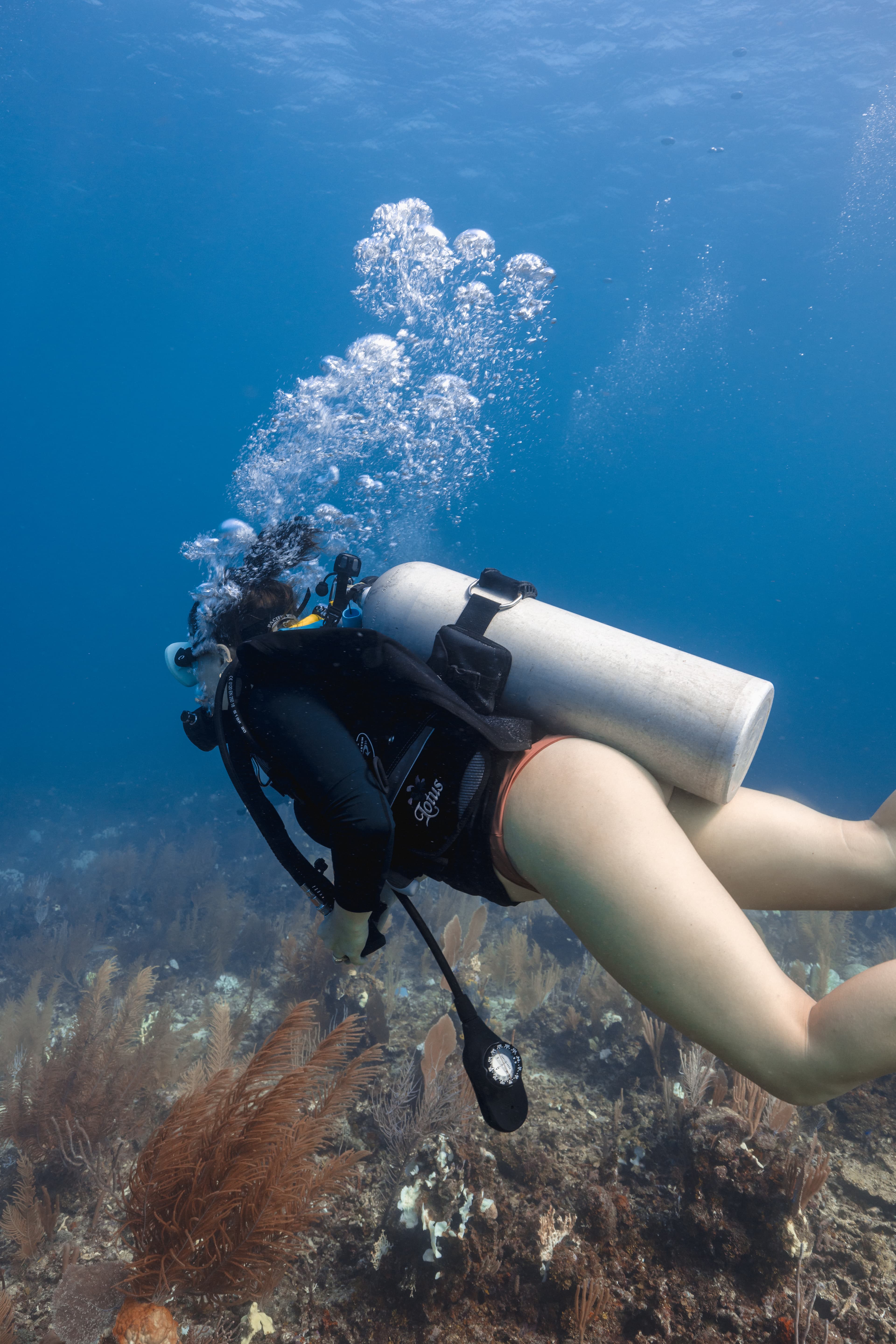 A diver swimming underwater among colorful coral and marine life, with bubbles rising around them.