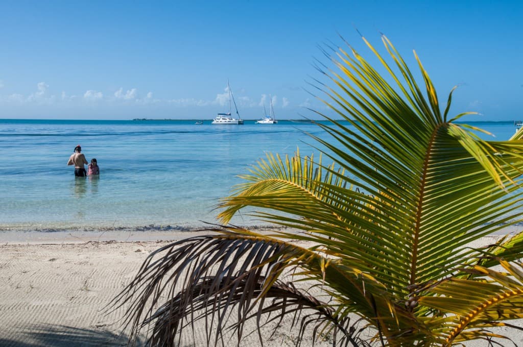 Two people wade in clear water by a beach with a sailboat in the distance, framed by a palm leaf.