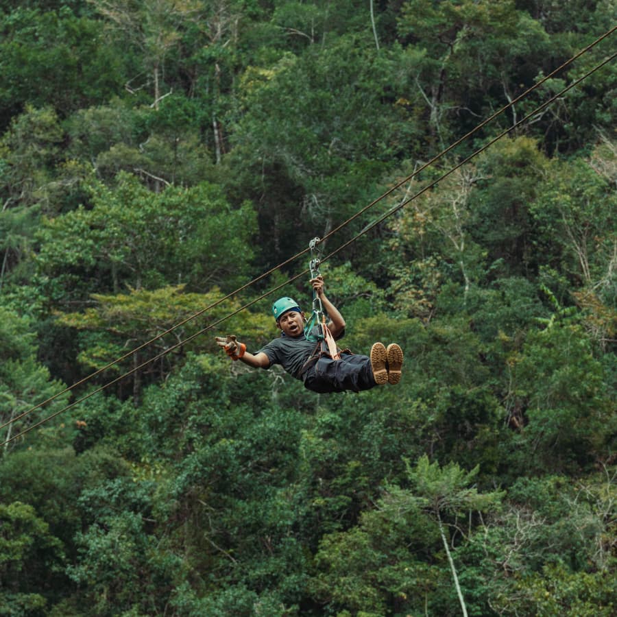 A person zip-lining through a lush green forest.