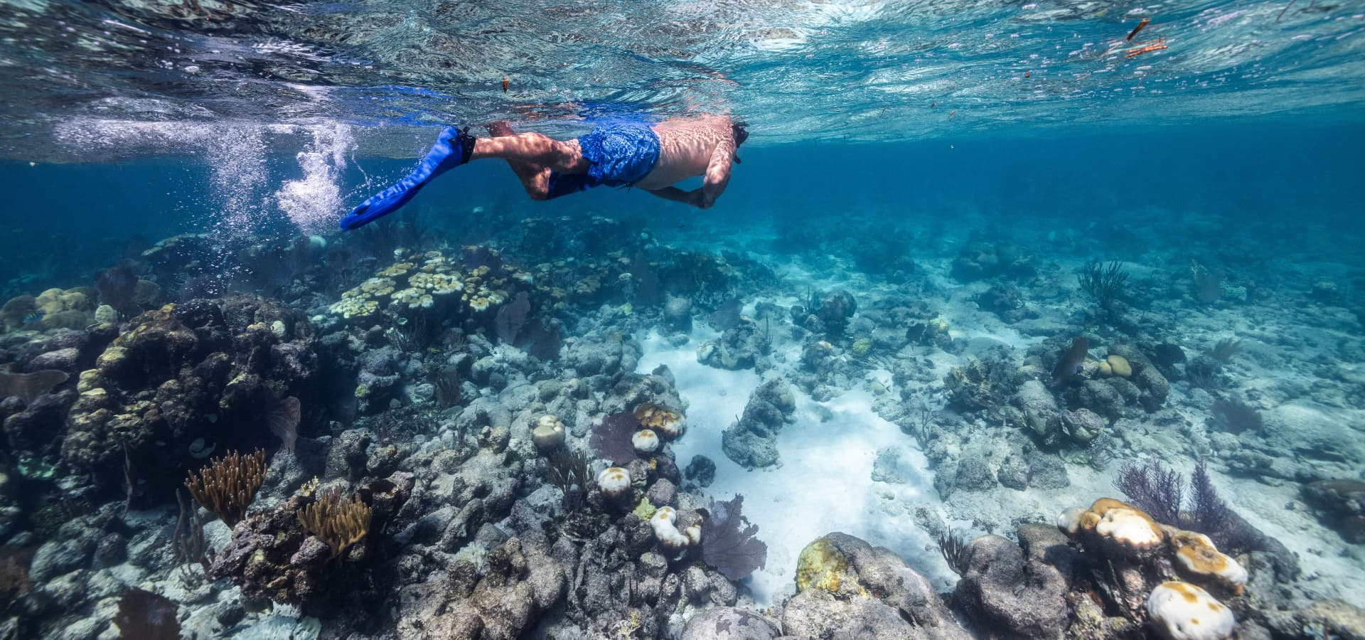 A person snorkeling over vibrant coral reefs underwater.