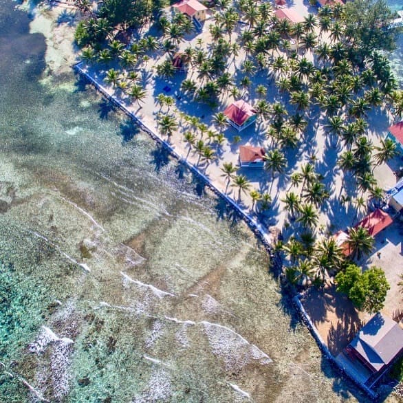 Aerial view of a tropical beach lined with palm trees and small red-roofed structures.