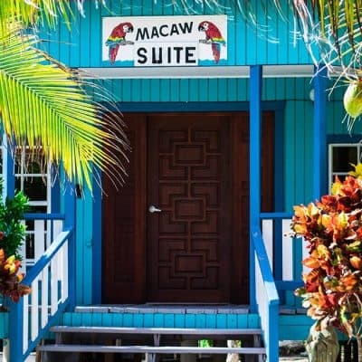 Exterior of the "Macaw Suite" with a wooden door and vibrant blue walls surrounded by tropical plants.