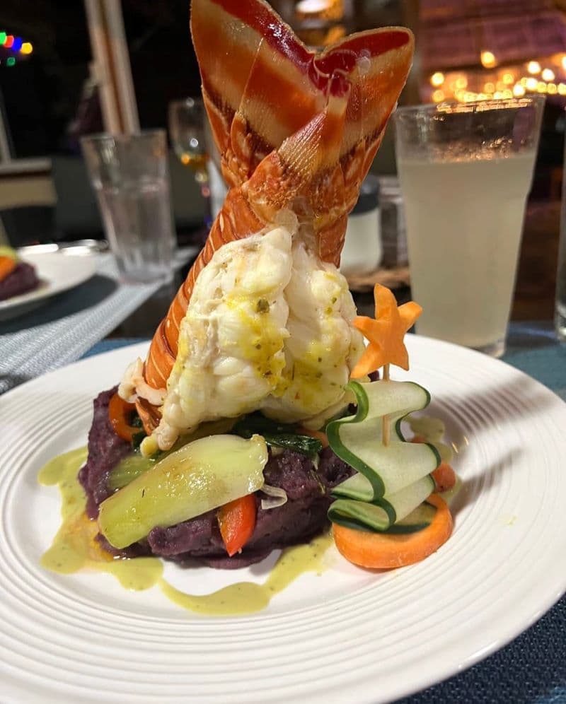 A gourmet dish featuring lobster tail atop purple mashed potatoes and colorful vegetables, garnished with cucumber and carrot.