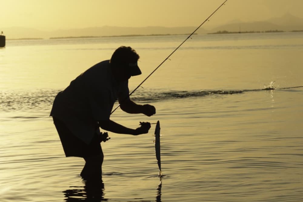 A silhouetted figure stands in shallow water, holding a fishing rod and a freshly caught fish against a golden sunset backdrop.