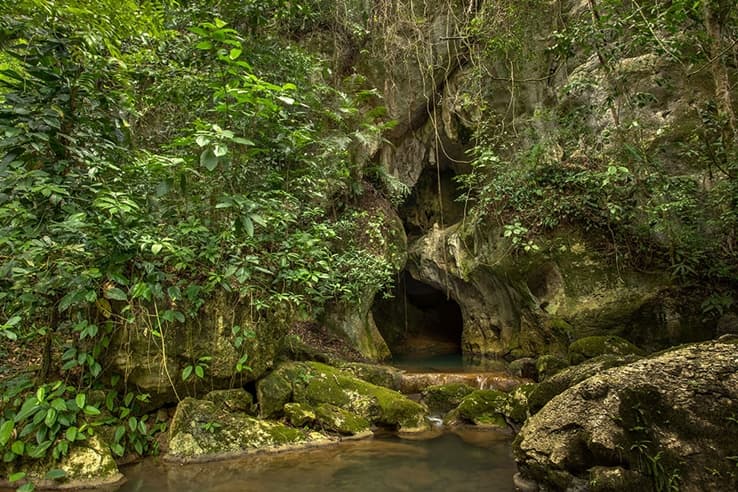 Lush greenery surrounds a dark cave entrance by a tranquil stream.