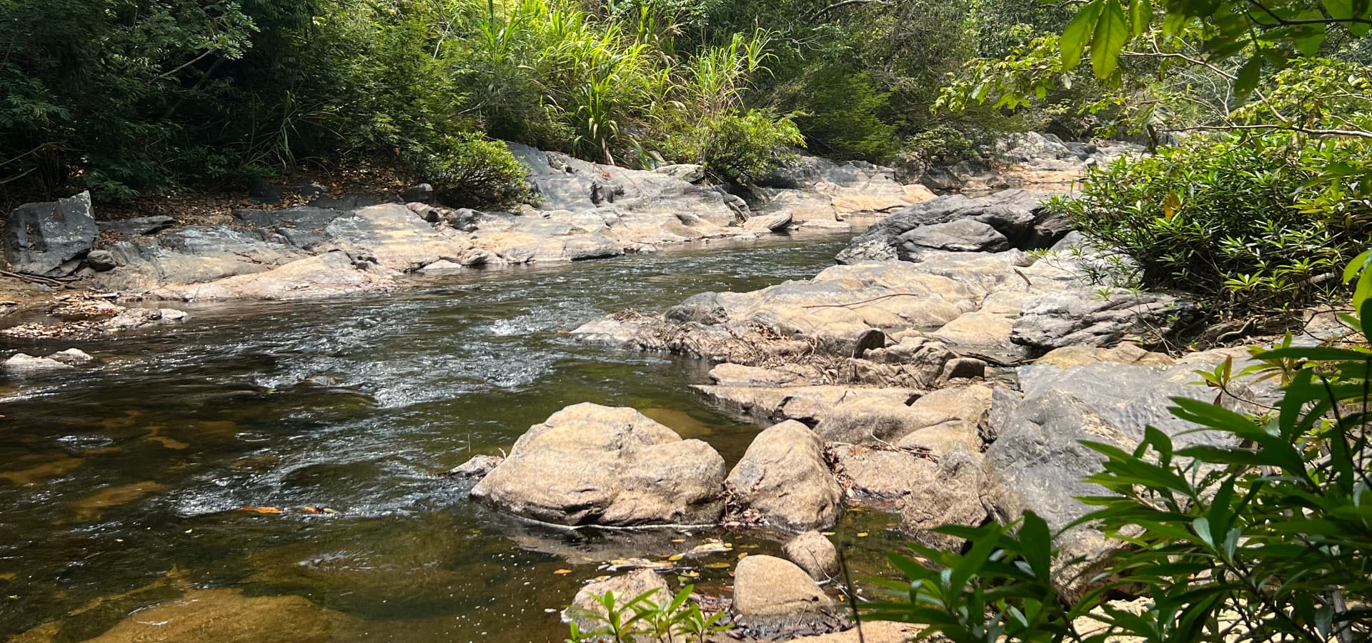 A serene stream flows over rocky terrain, surrounded by lush greenery.