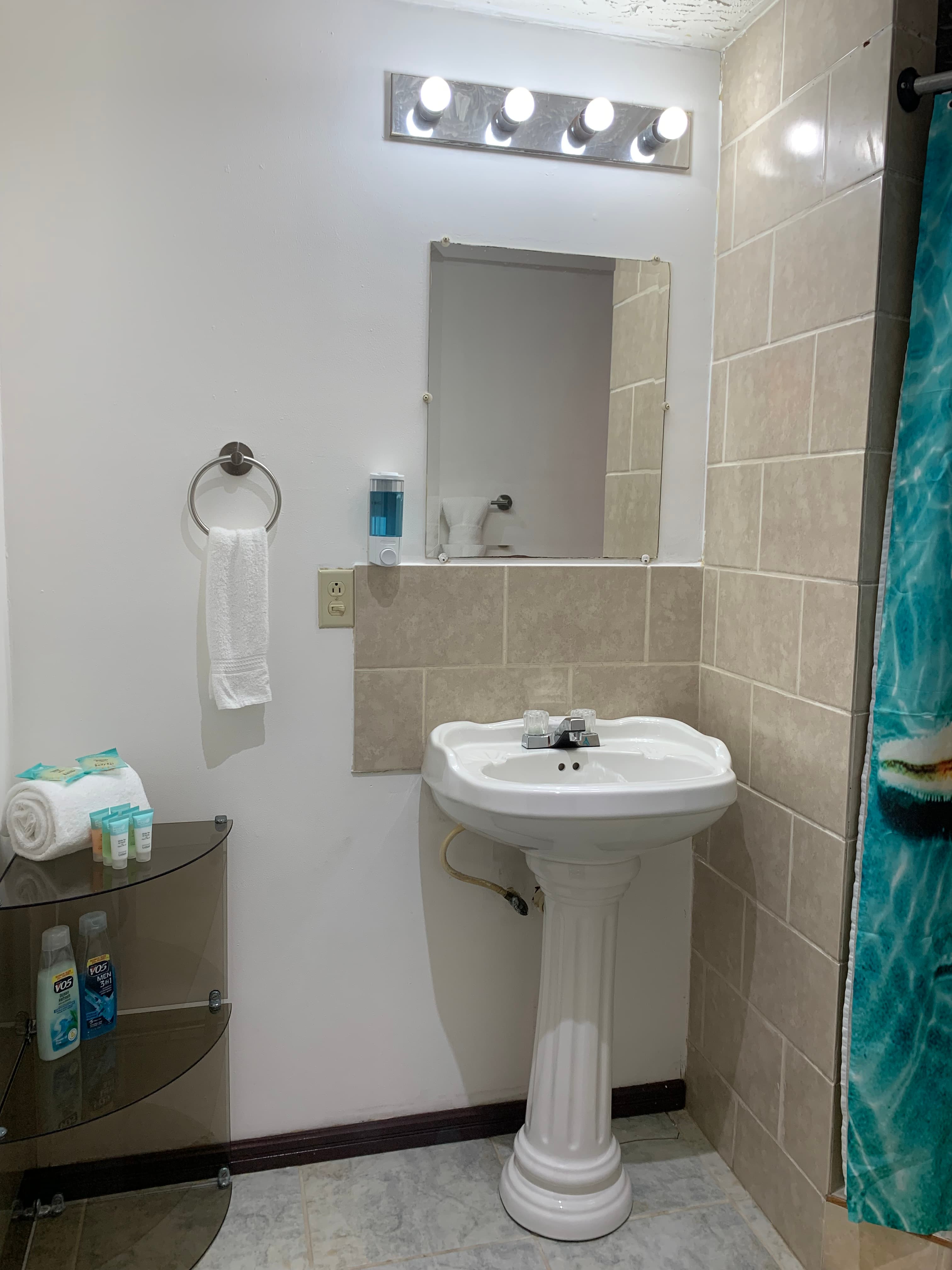 A compact bathroom featuring a pedestal sink, a mirror, towel rack, and a decorative shower curtain.