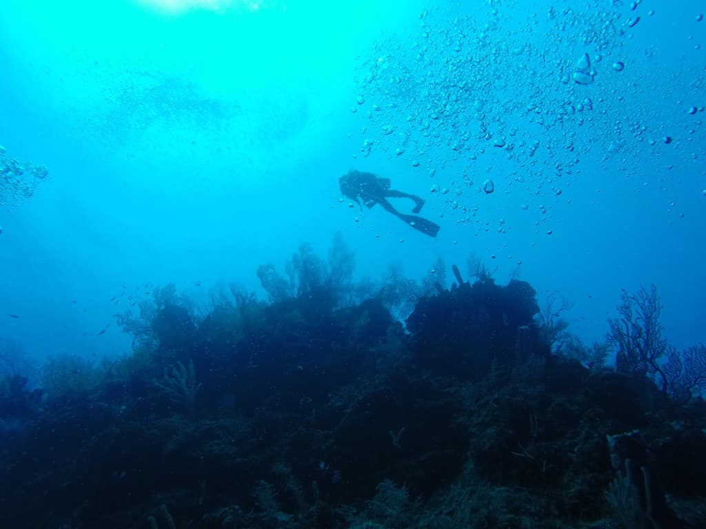 A scuba diver explores an underwater landscape with coral and bubbles rising to the surface.