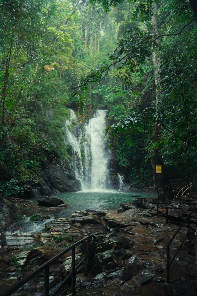 A serene waterfall cascades into a tranquil pool, surrounded by lush green foliage.
