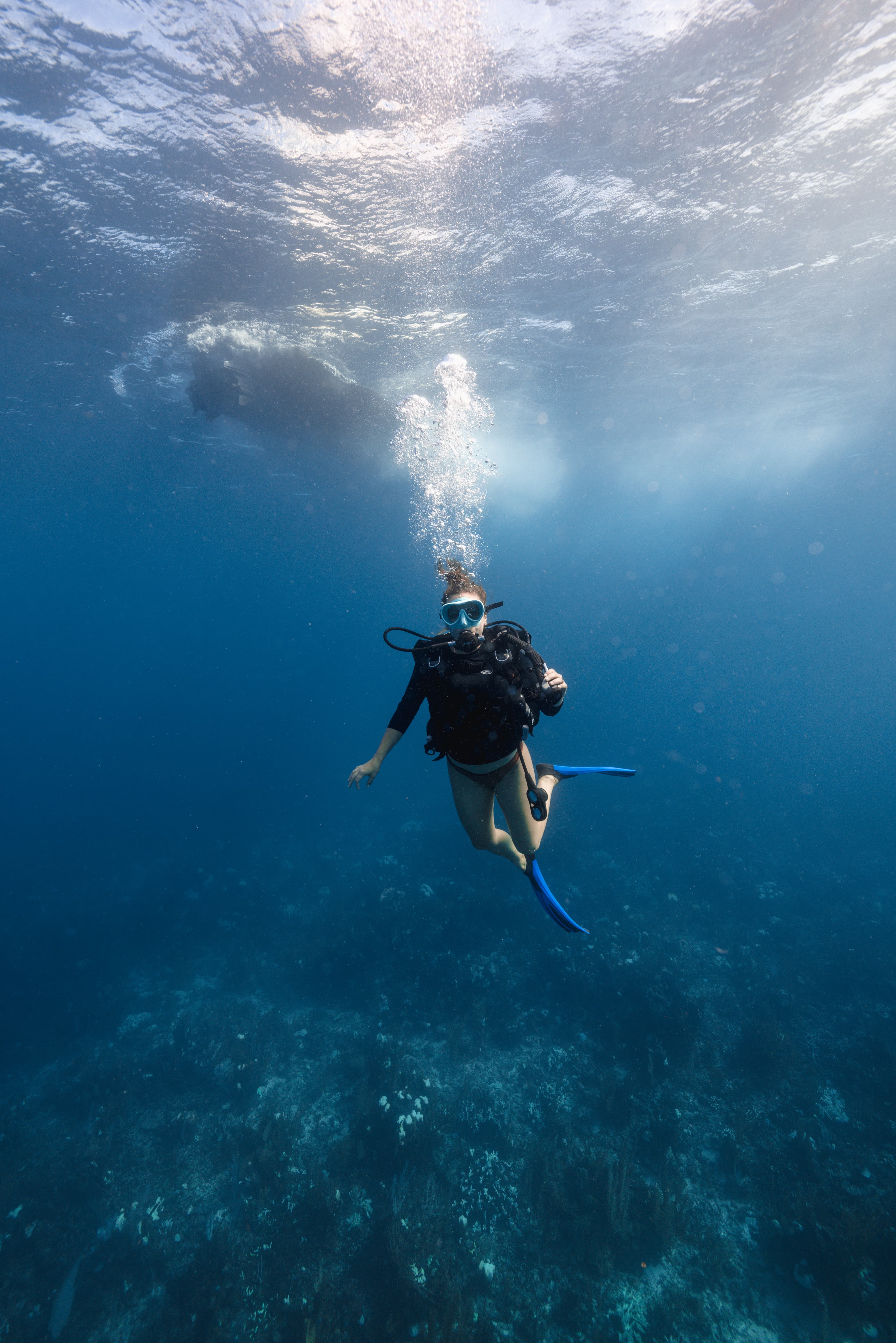 A scuba diver is swimming underwater in clear blue ocean water.