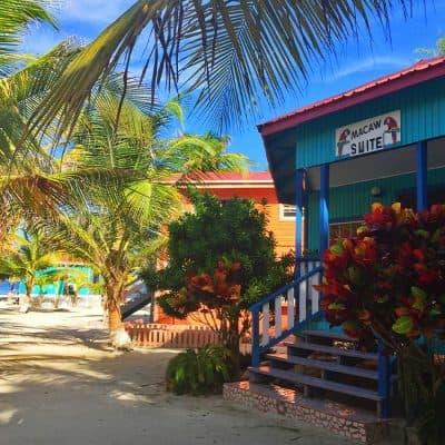 A vibrant tropical scene featuring palm trees and colorful cottages by the beach.