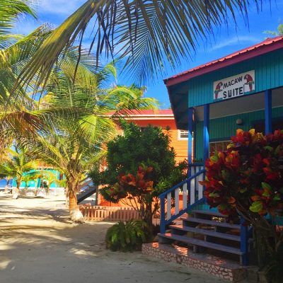 A vibrant tropical scene featuring palm trees and colorful cottages by the beach.