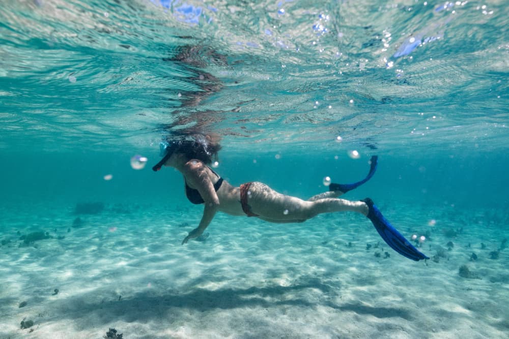 A swimmer wearing fins glides underwater through clear blue water.