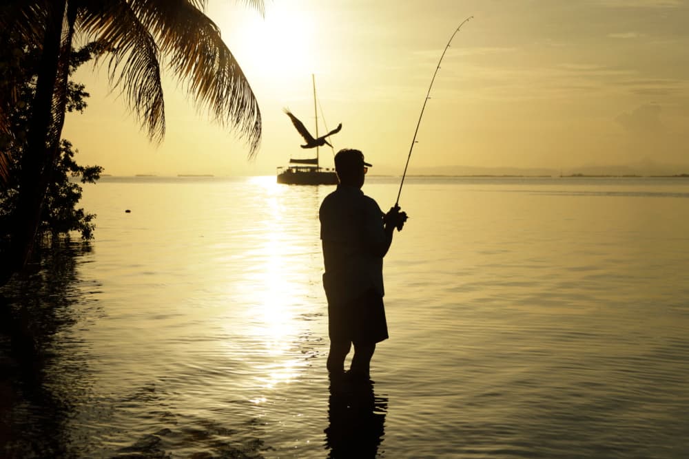 A silhouetted man fishes at sunrise with a bird flying overhead.