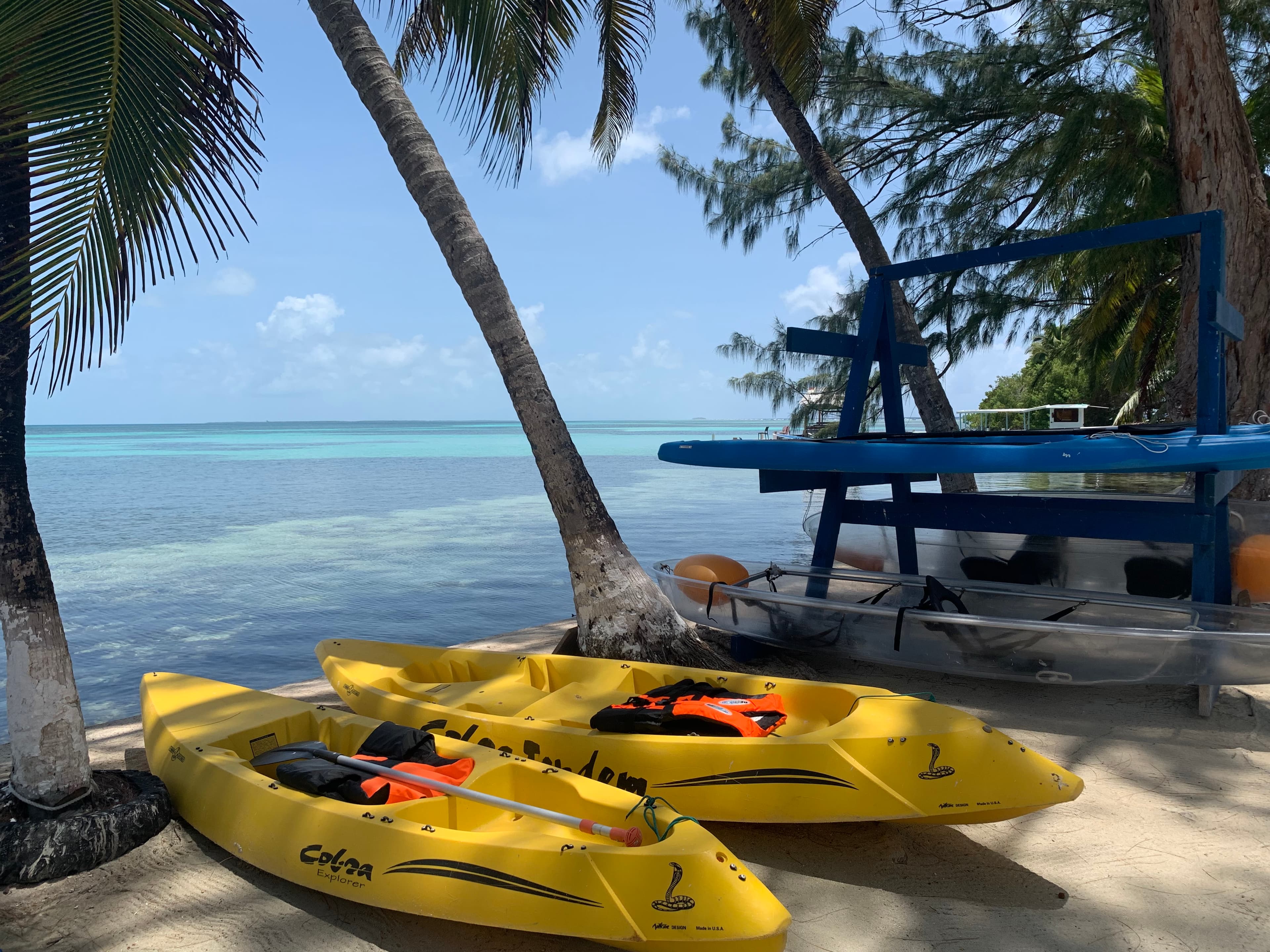 Two yellow kayaks are parked on a sandy beach near palm trees, with a calm turquoise sea in the background.