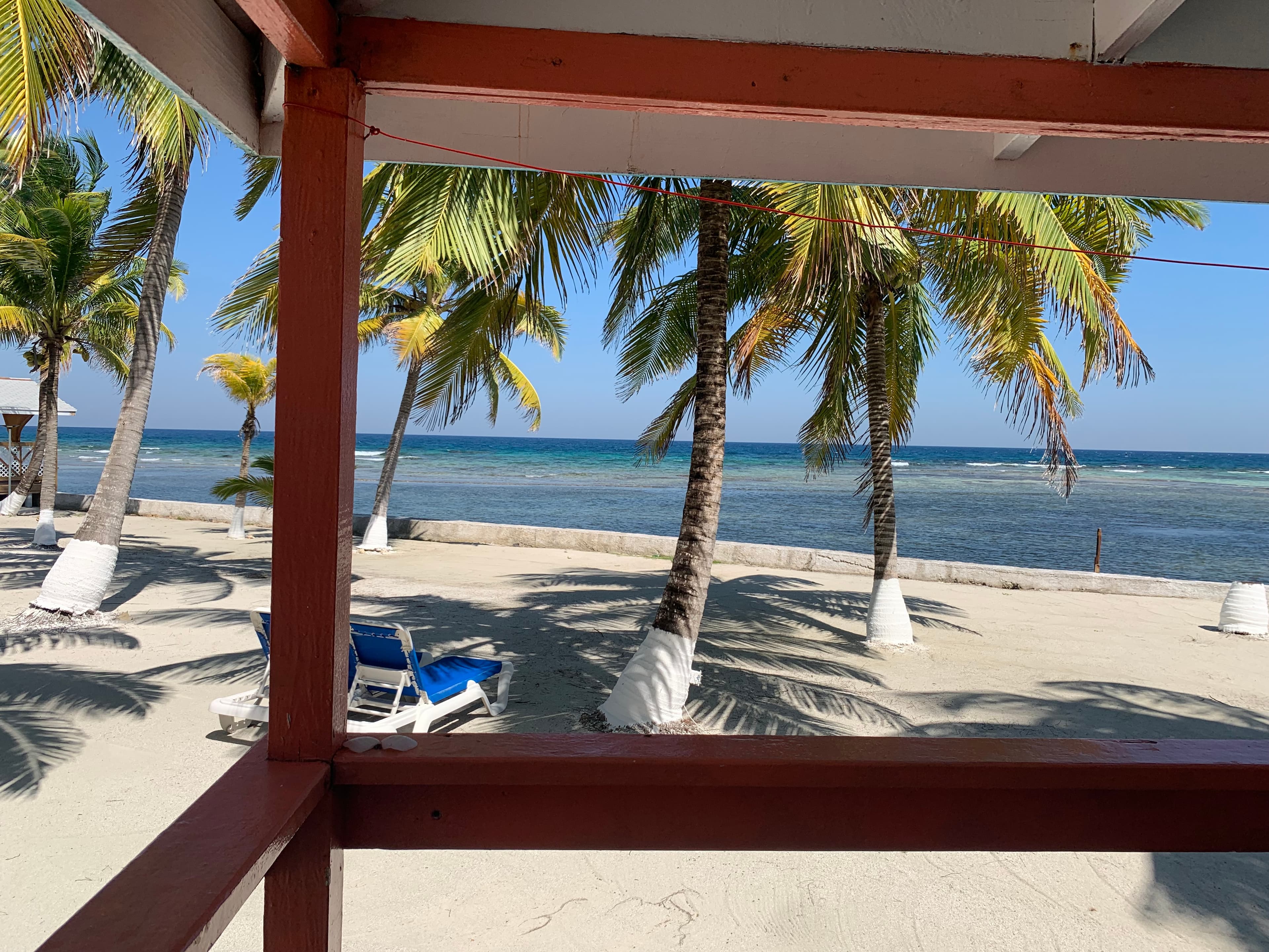 View of a sandy beach lined with palm trees and ocean in the background.