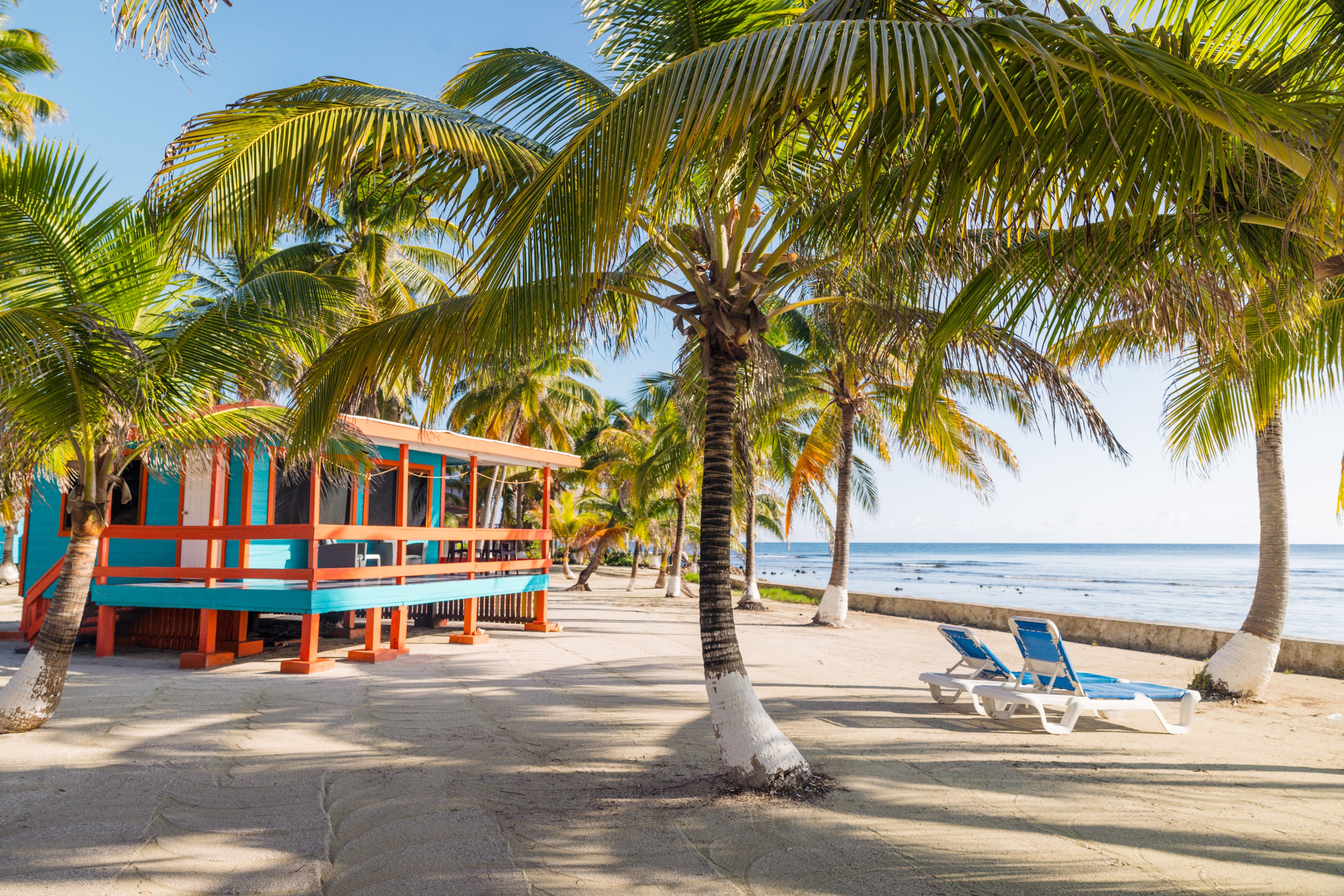 A vibrant beachside scene featuring palm trees, a colorful building, and lounge chairs by the ocean.