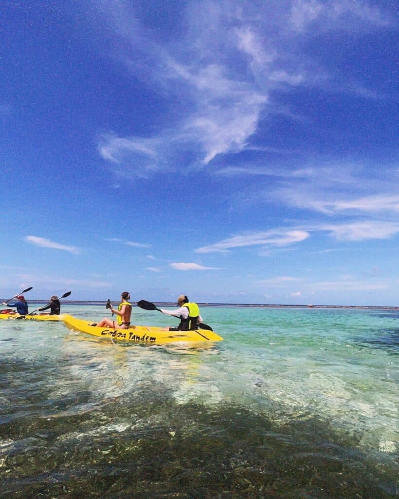 A group of people kayaks in clear blue waters under a bright sky.