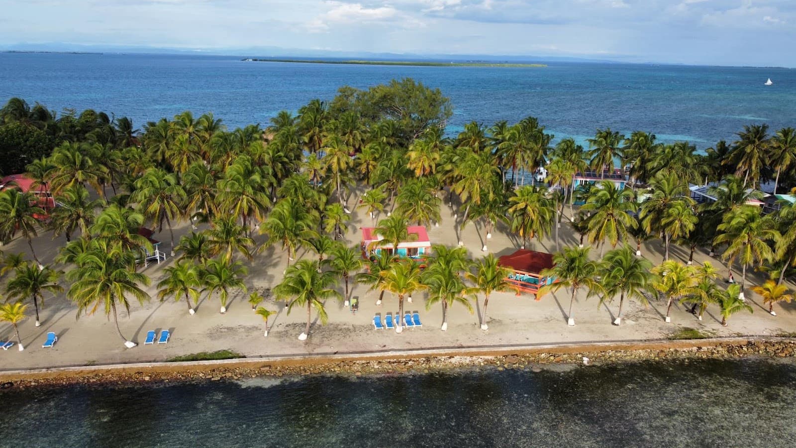 Aerial view of a sandy beach with palm trees and a tranquil ocean in the background.