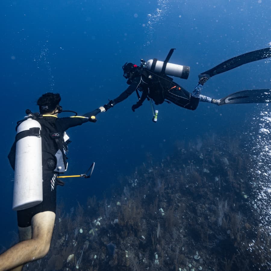Two divers underwater are reaching out to each other while surrounded by deep blue water.