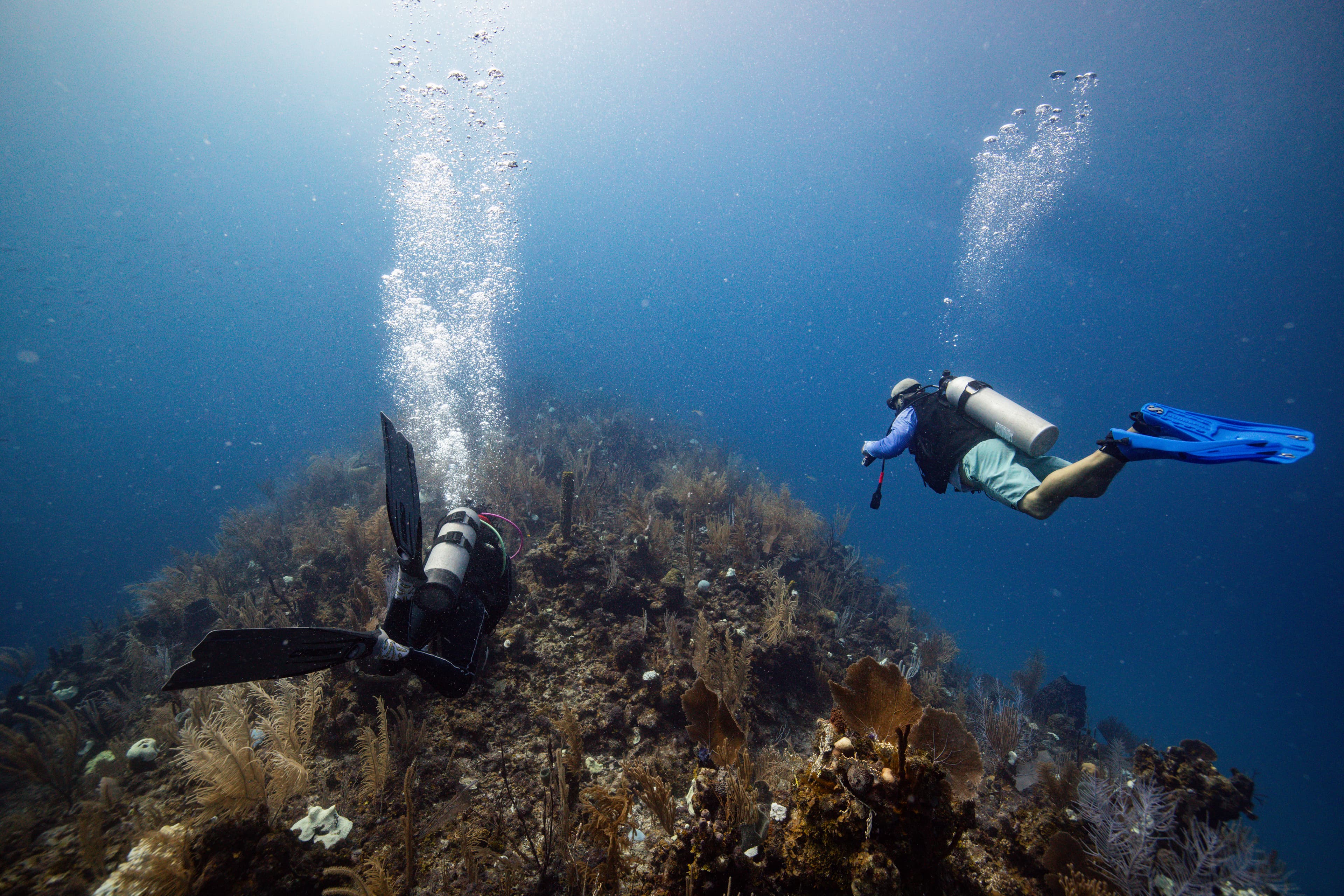 Two scuba divers exploring a coral reef underwater.