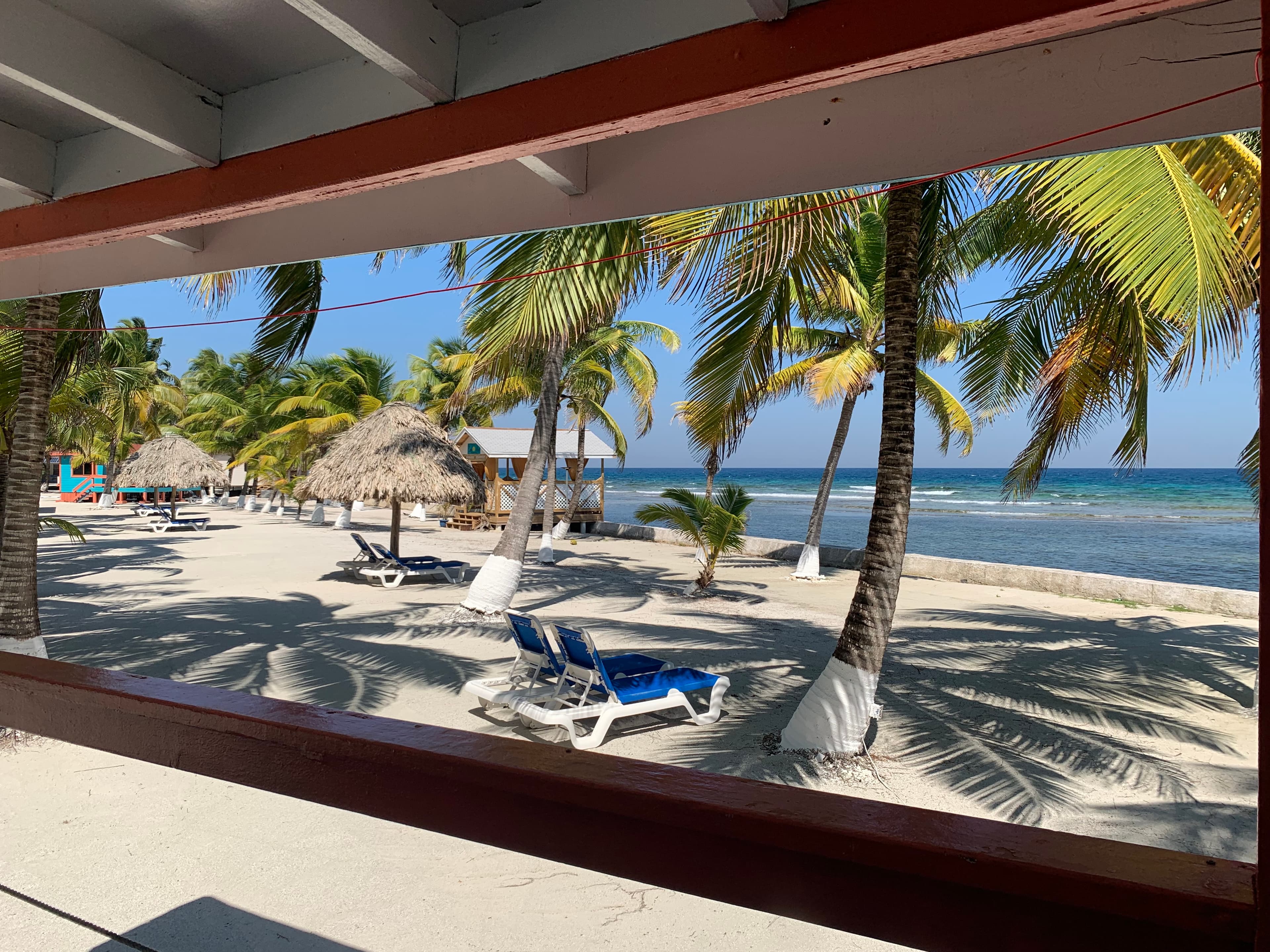 A serene beach scene featuring palm trees, lounge chairs, and thatched umbrellas under a clear blue sky.
