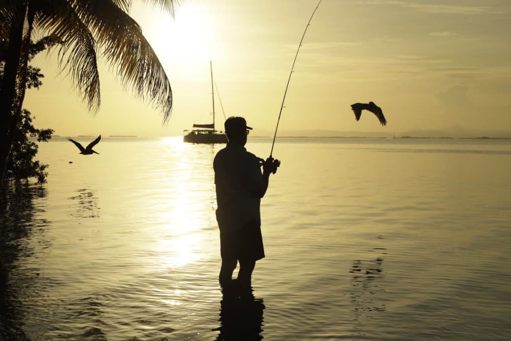 A silhouette of a person fishing at sunset, with birds flying overhead and a boat in the background.