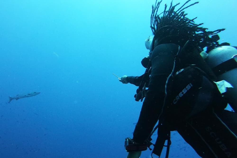 A diver with dreadlocks explores the deep blue sea, observing a fish nearby.
