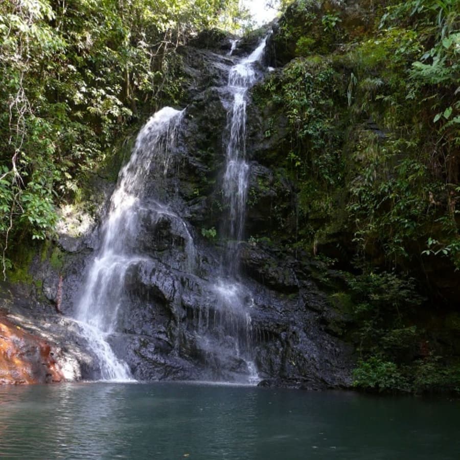 A cascading waterfall surrounded by lush greenery.