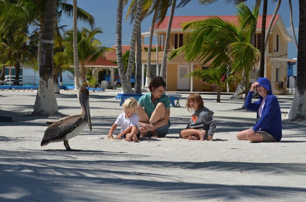 A family playing on the sand at a beach resort, watching a pelican stroll the sandy shores in front of them