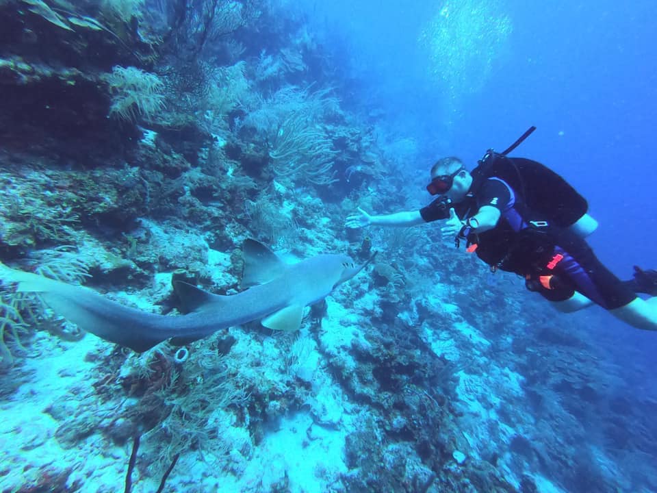 A man scuba diving with arms outstretched in front of a shark on the reef.
