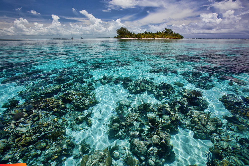belize-Coral-Reefs-of-South-Water-Caye