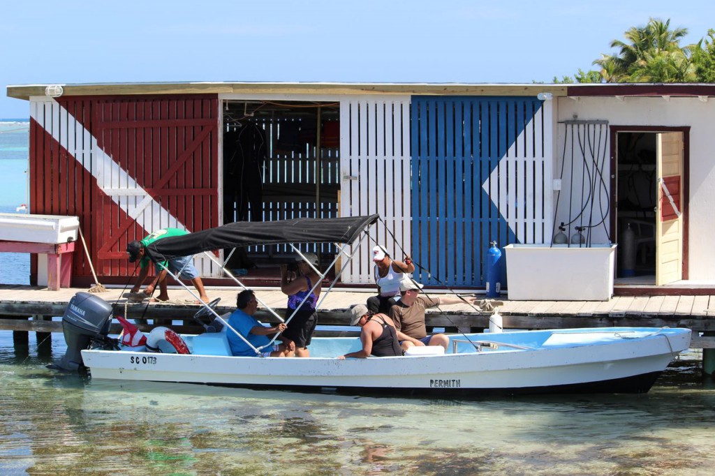 diveshop-belize