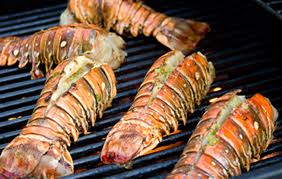 fresh-cook-lobster