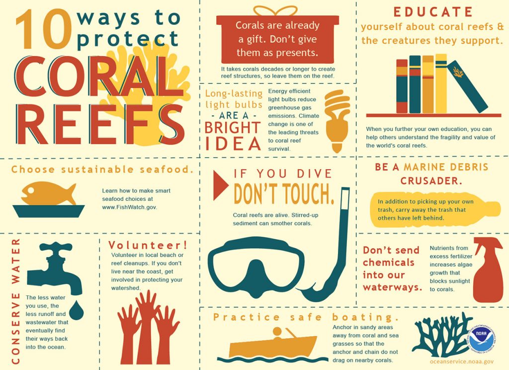 10 ways to protect Coral Reefs