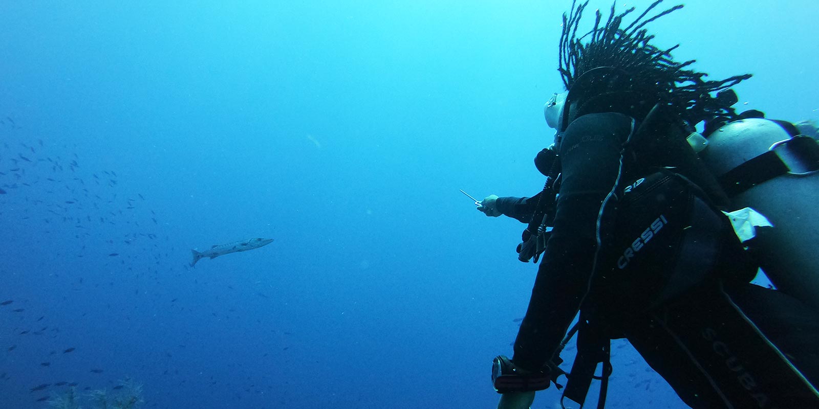 Belize Blue Hole specialty tours