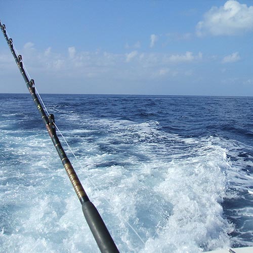 Belize Deep Sea Fishing Tours