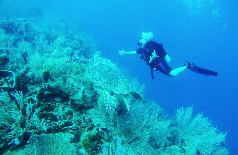 Belize Dive Package