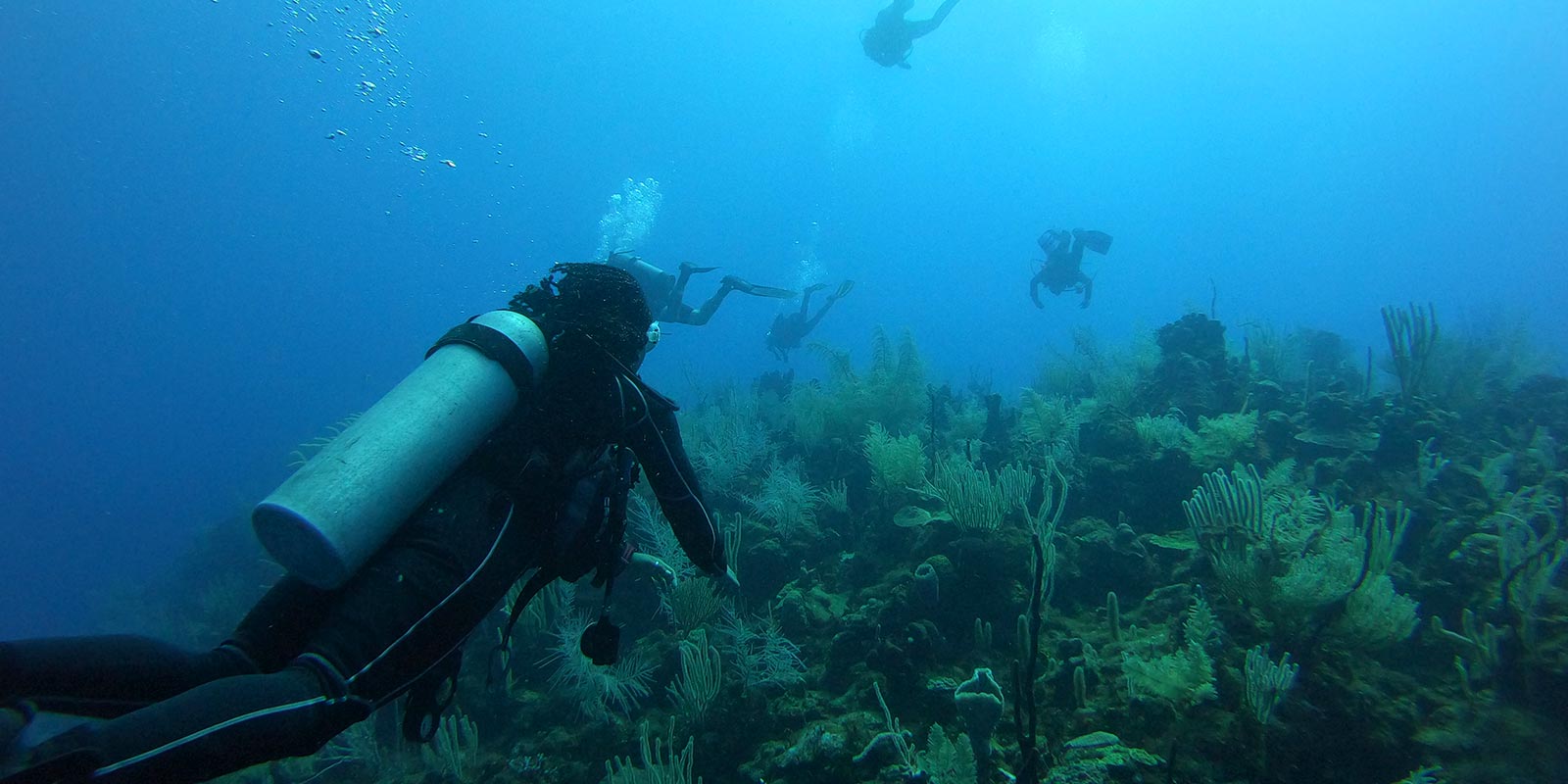 Belize diving tours