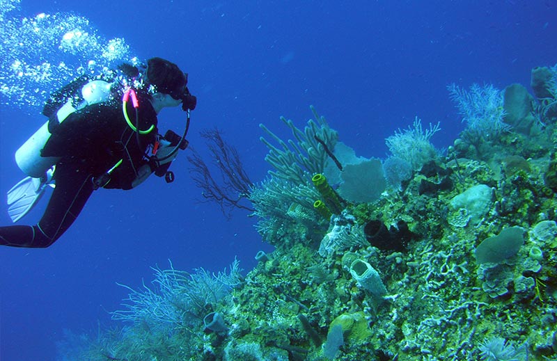 Belize Dive Package