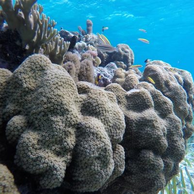 Belize Snorkeling Tours