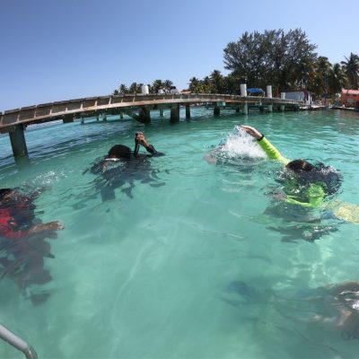 Belize Diving Tours