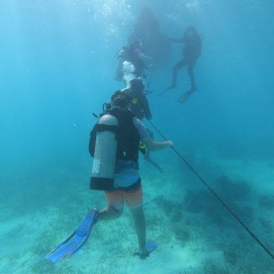 Belize Diving Tours