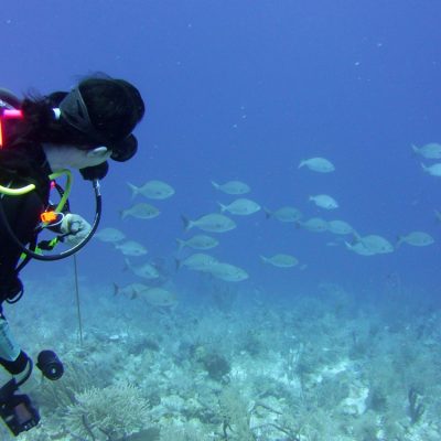 Belize Diving Tours