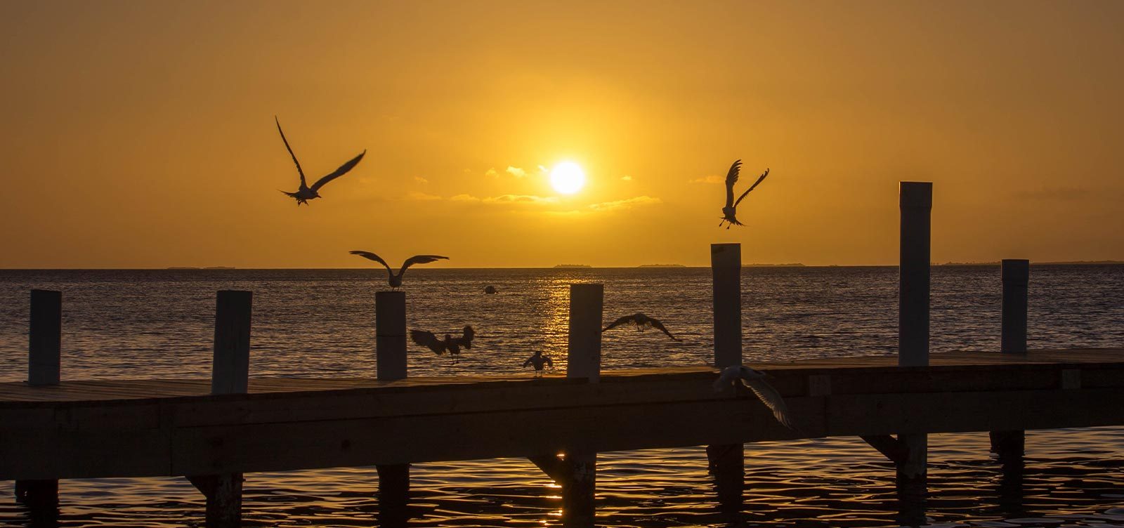 Belize island activities