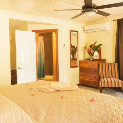 Belize Island Standard Room