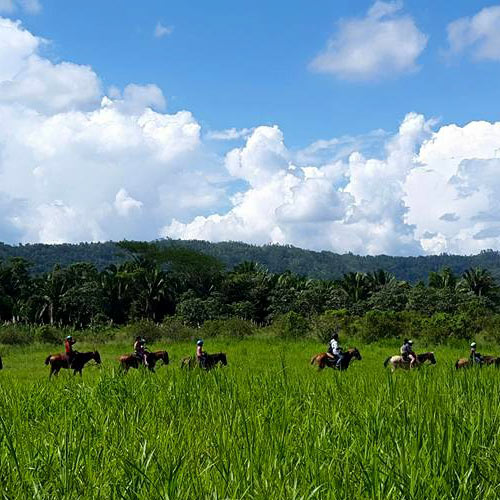 Belize jungle adventure tours horseback