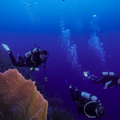 Belize Diving Tours